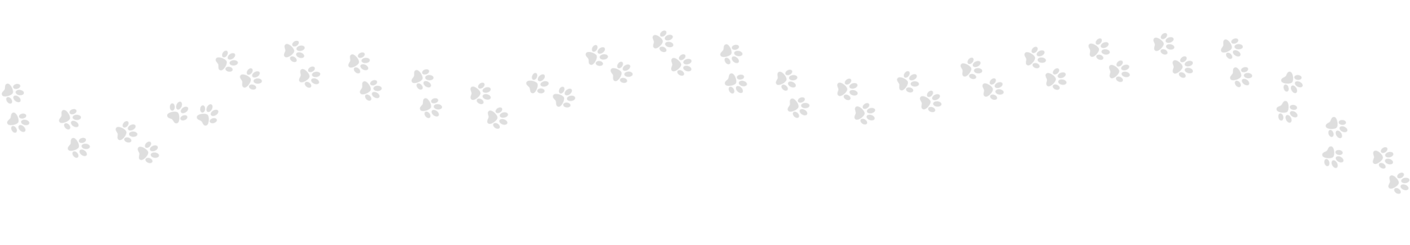 Working Law Enforcement Dog Paws