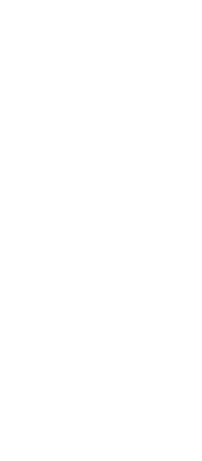 Working Police Dog Paws